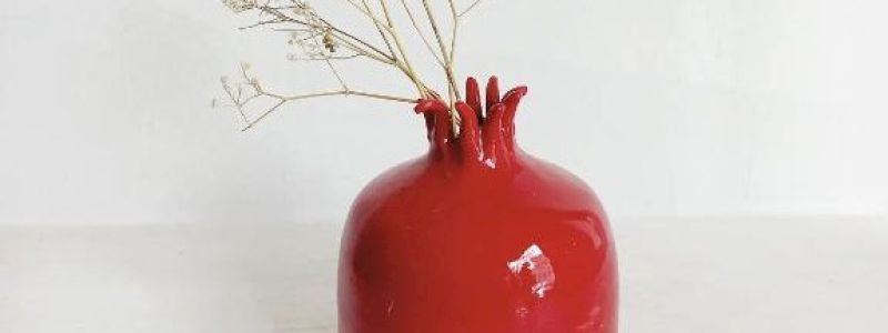 Melograno porta fiore con nome (con spedizione in Italia)